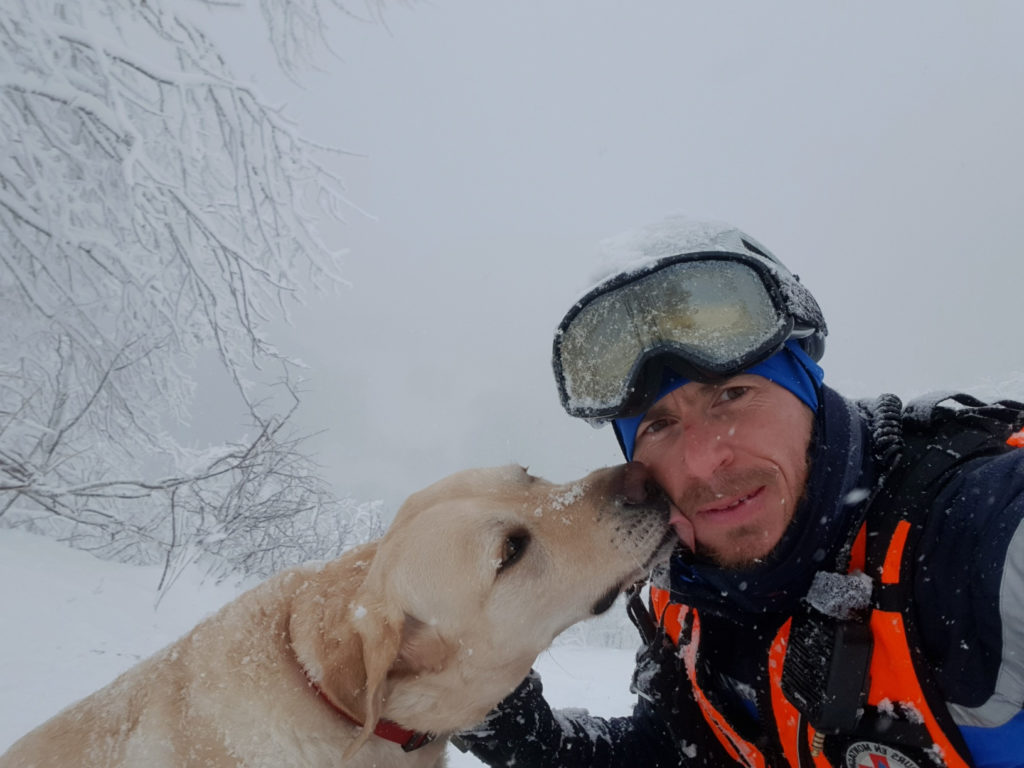 Hautes-Vosges : un labrador chute de 150 mètres et en sort indemne !