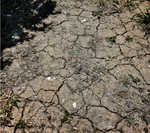 54 : L&rsquo;alerte sécheresse déclarée sur toute la Meurthe-et-Moselle