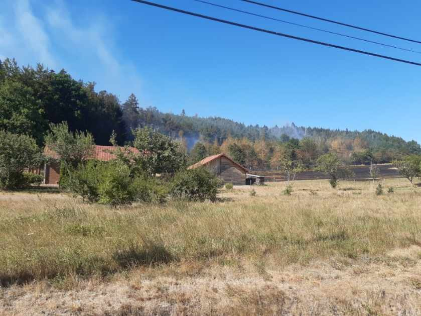 Deux nouveaux importants feux de forêt dans les Vosges