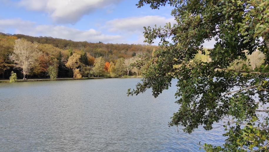 Bulgnéville : un corps repêché dans l&rsquo;étang des Récollets