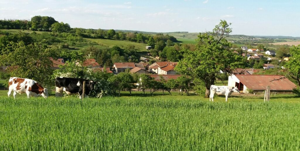Vosges : une marche solidaire en soutien à la lutte contre le syndrome de Rett à Bouxurulles