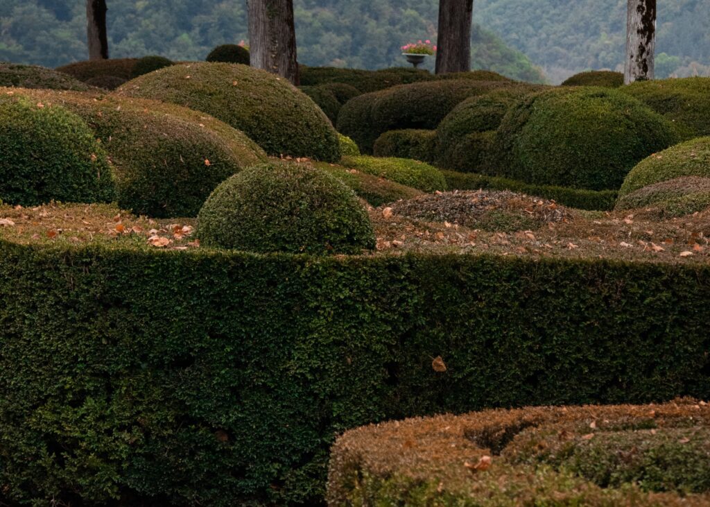 Interdiction de tailler les haies en Haute-Marne, dans les Vosges et en Alsace jusqu&rsquo;à fin juillet