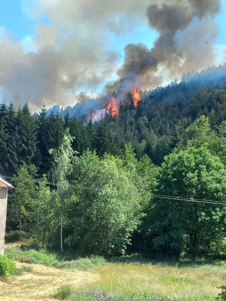 Vosges : l&rsquo;incendie de Bois-de-Champ, qui a brûlé 30 hectares, est d&rsquo;origine criminelle