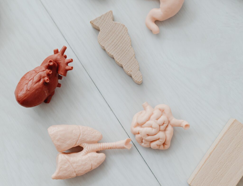 Journée nationale du don d&rsquo;organes : Offroicourt, premier village ambassadeur du Grand Est