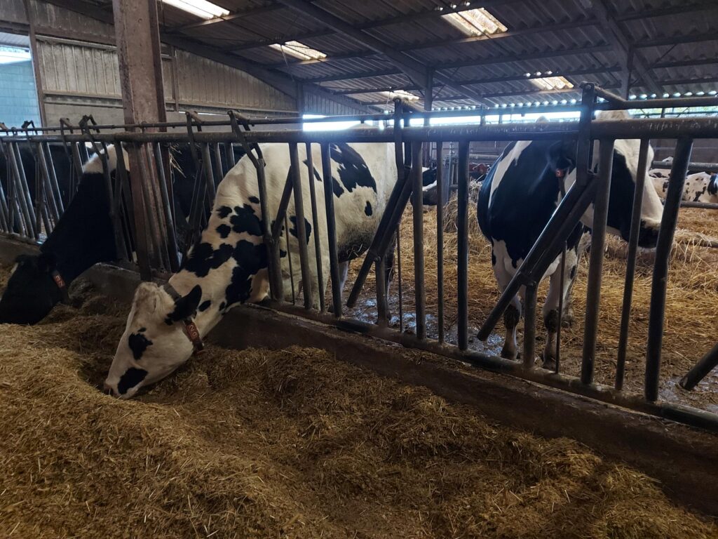VOSGES : Les agriculteurs font face à un quotidien complexe et réglementé