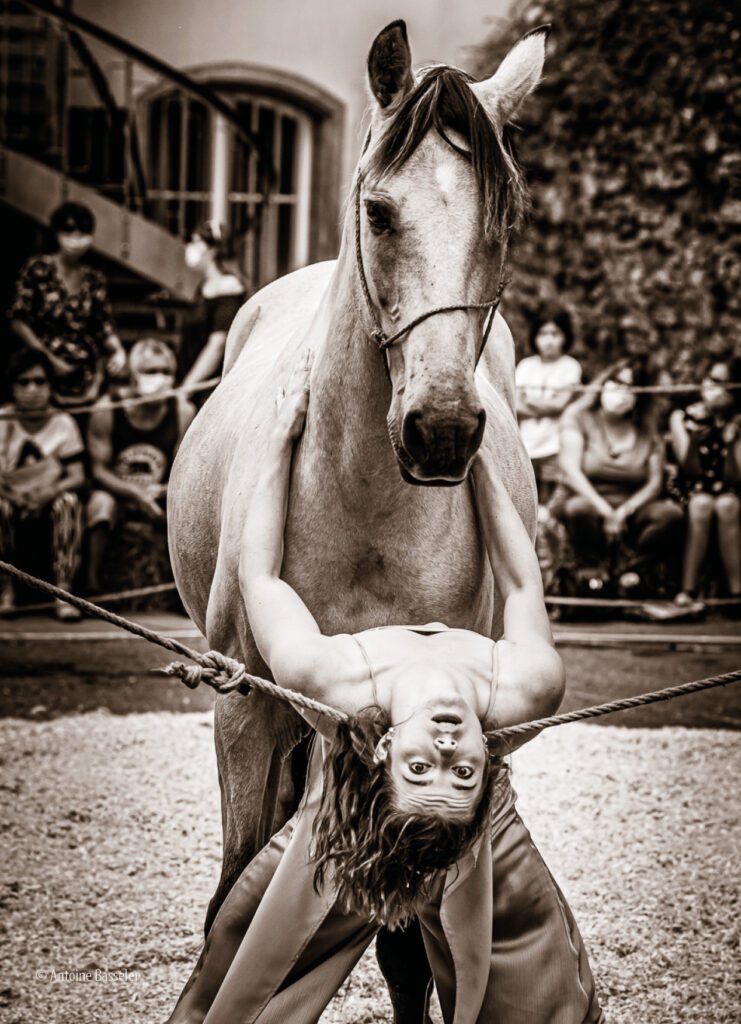Le festival Scènes en Selle vous donne rendez-vous dès aujourd&rsquo;hui à Lunéville