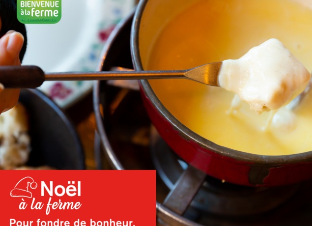 Vosges : Profitez de Noël à la ferme jusqu&rsquo;au 31 décembre