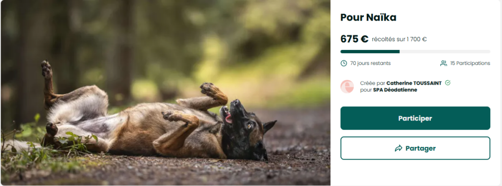 Saint-Dié : Une cagnotte pour sauver Naïka à la SPA Déodatienne