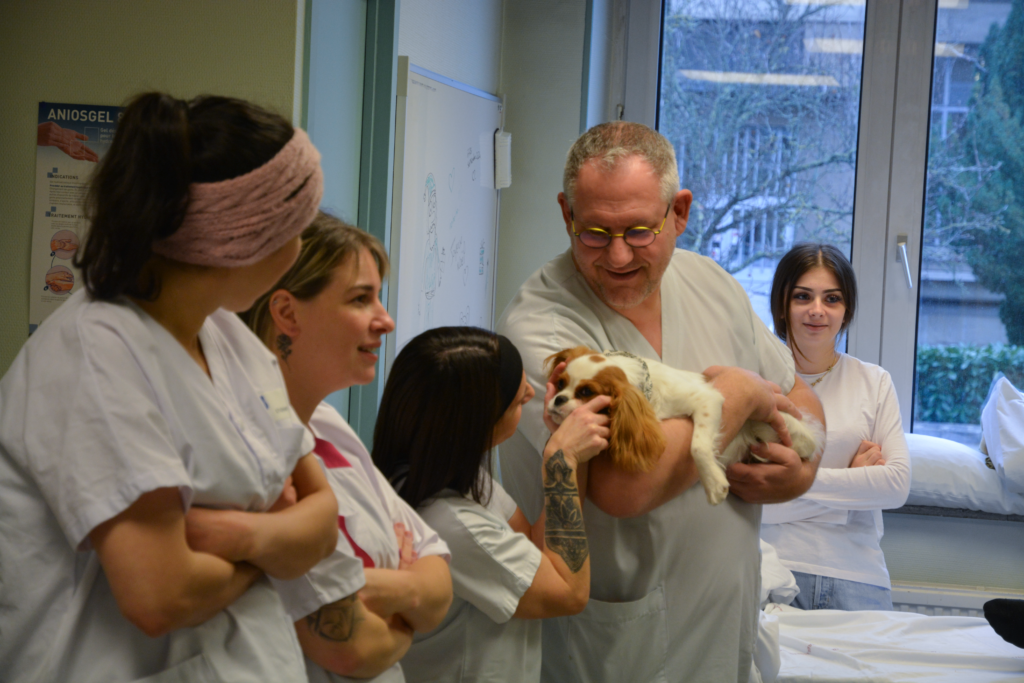 De la médiation animale auprès des étudiants de l&rsquo;IFAS du CHRU de Nancy