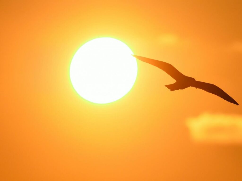 Juin Orange 2025 : Ensemble contre les cancers de la peau, protégez-vous !