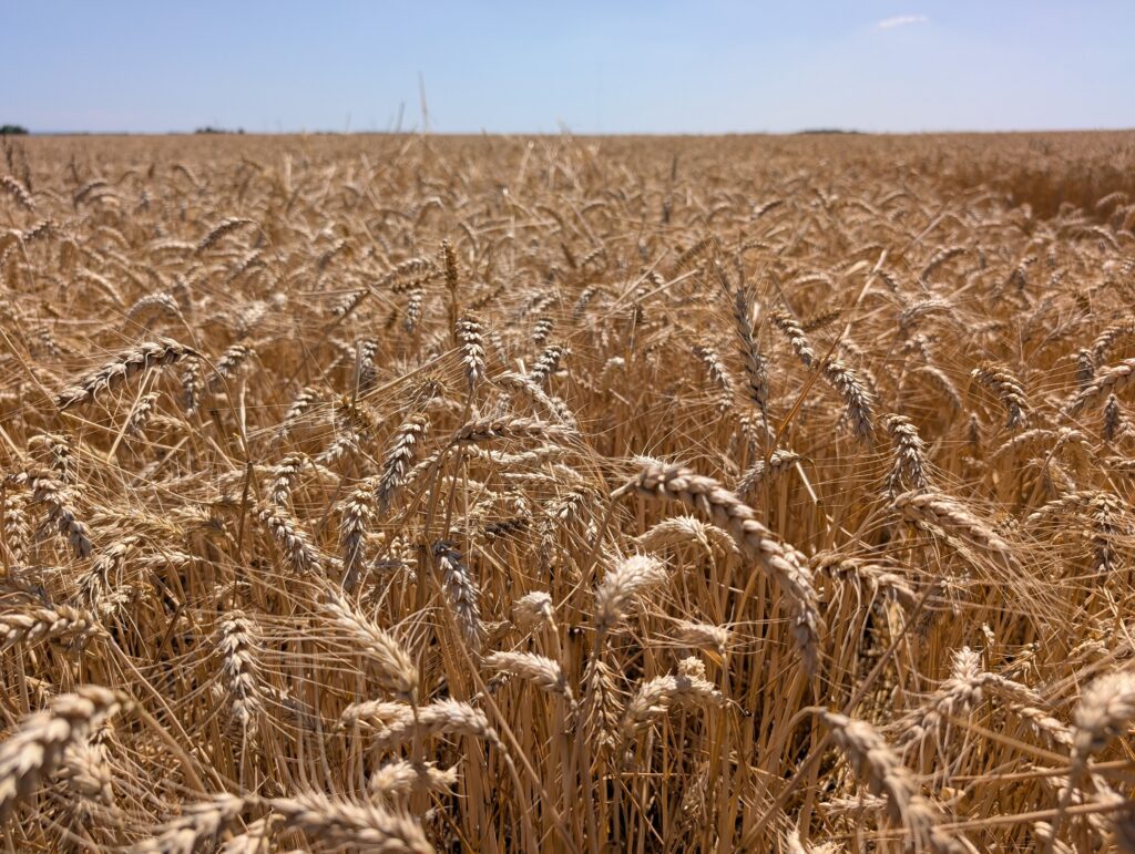 Plus d&rsquo;1 200 000 signatures contre la loi Duplomb-Menonville