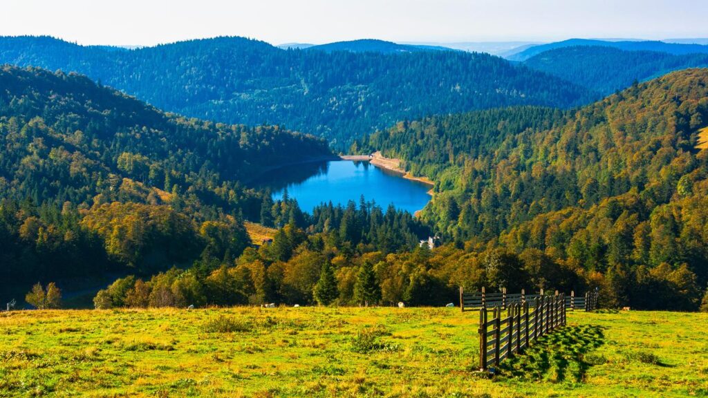 Navettes estivales à La Bresse : un nouveau service gratuit pour un tourisme plus responsable dès le 12 juillet