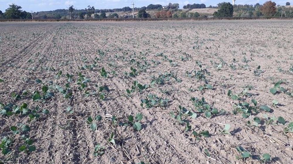 Sécheresse en Lorraine : la Meurthe-et-Moselle et les Vosges passent en alerte de niveau 1