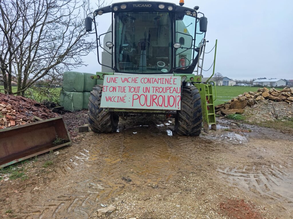 Tensions autour de l’abattage d’un troupeau dans le Doubs